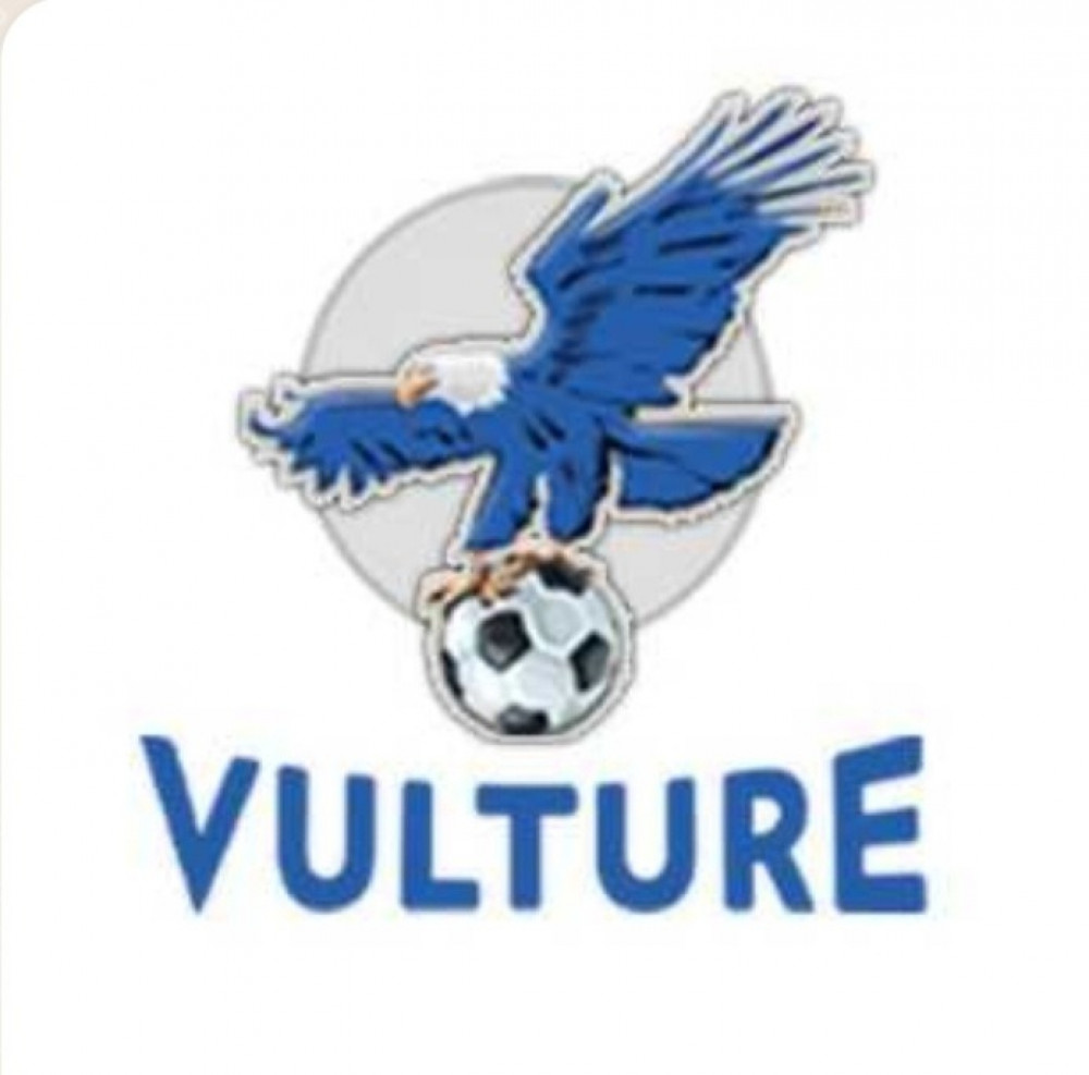 VULTURE TV 12 Months