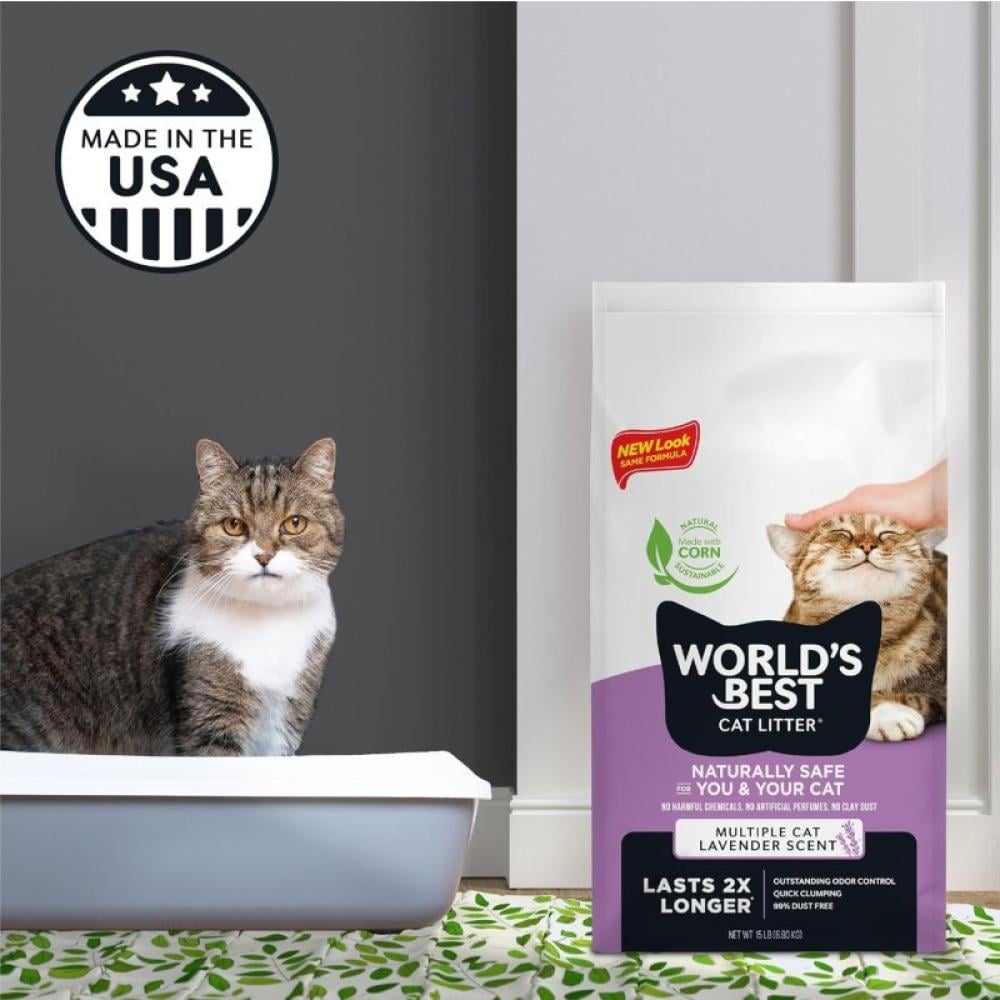 Clay Litter The Best Cat Litter For Multiple Cats World's Best Cat