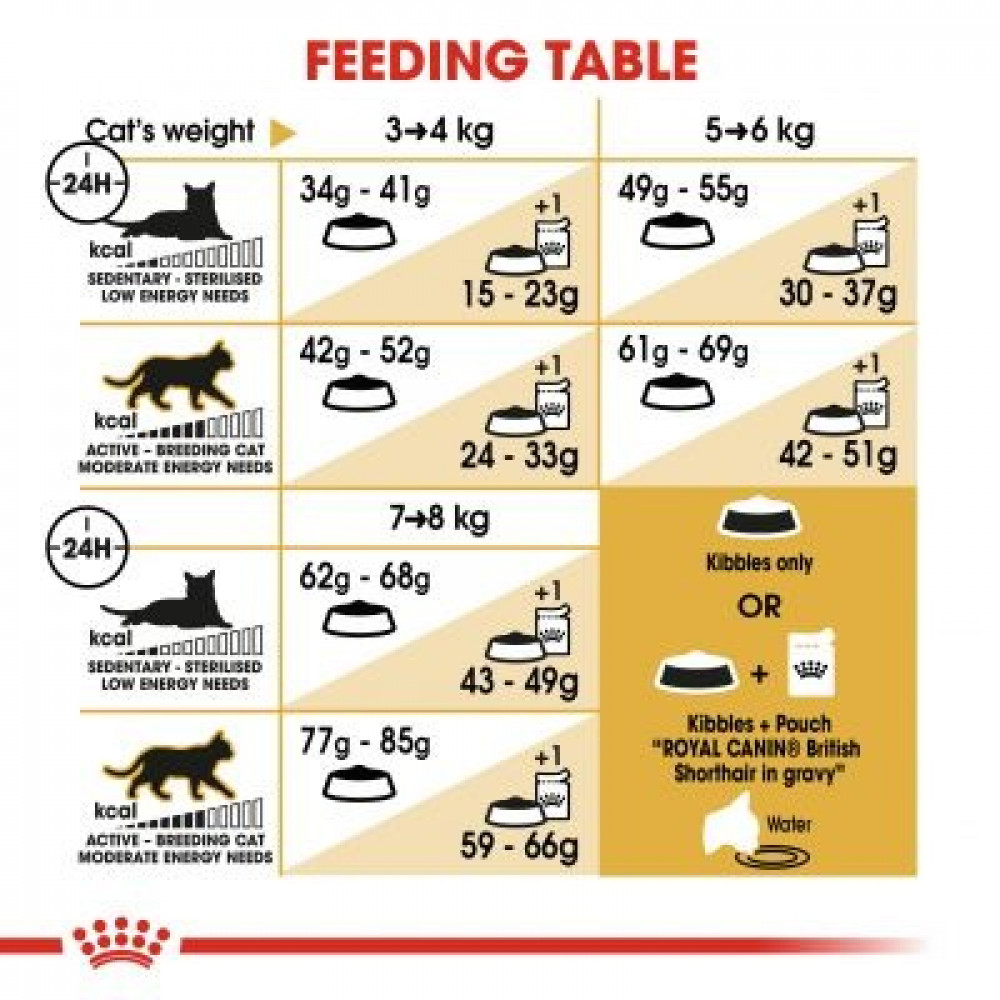 royal canin british shorthair adult 2 kg