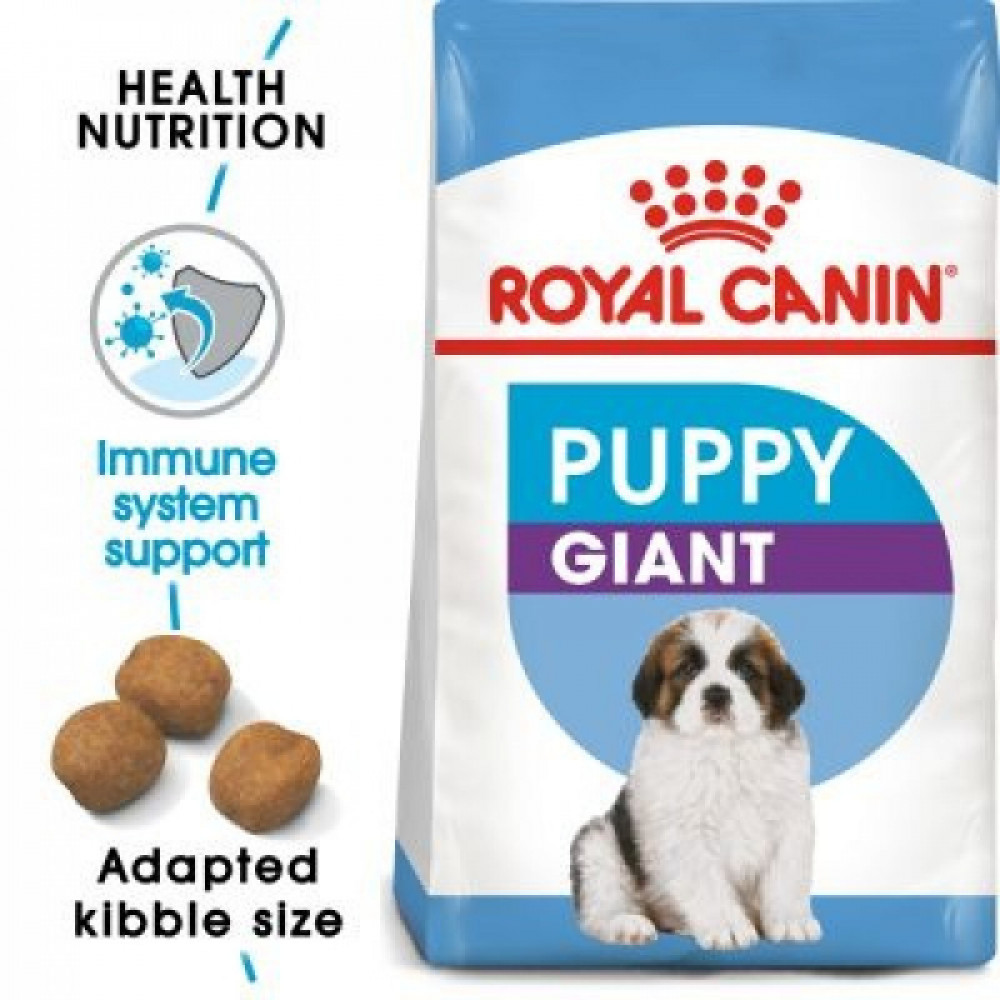 Large puppy royal canin deals