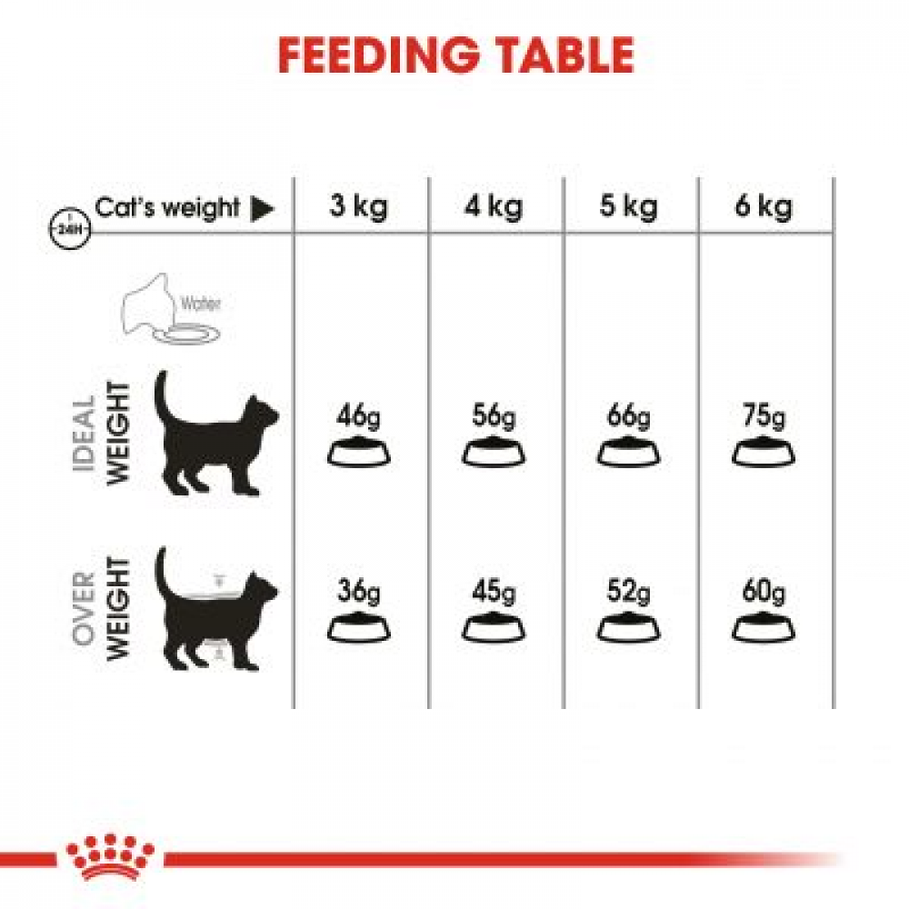 royal canin oral 3.5 kg