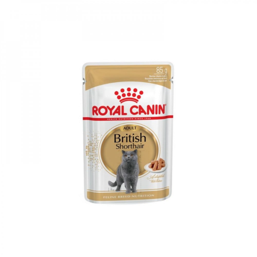 British shorthair hot sale wet food