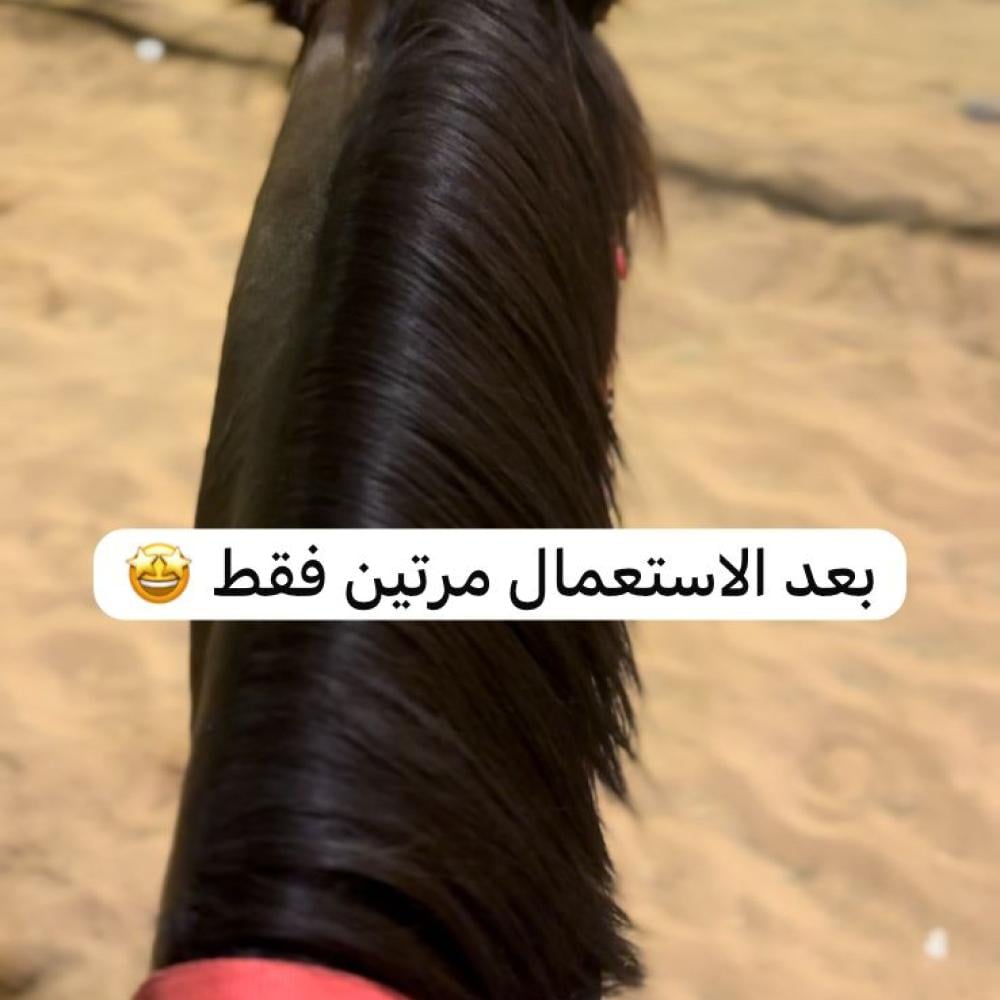 زيت R&g للخيل