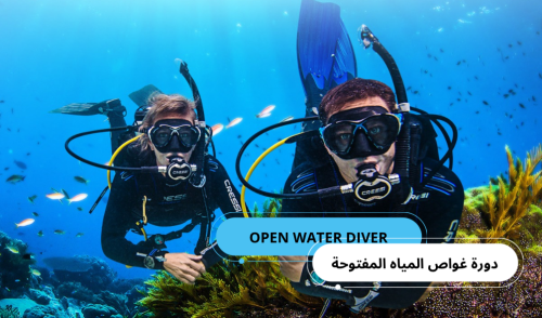 دورة غواص المياه المفتوحة (OPEN WATER DIVER)