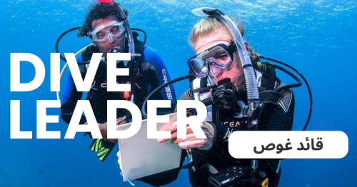 قائد غوص (Dive leader)