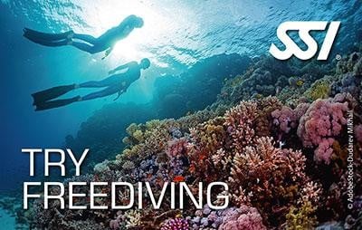 دورة أساسيات الغوص الحر (Freediving basics)