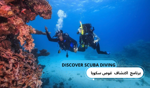 برنامج اكتشاف غوص سكوبا (DISCOVER SCUBA DIVING)