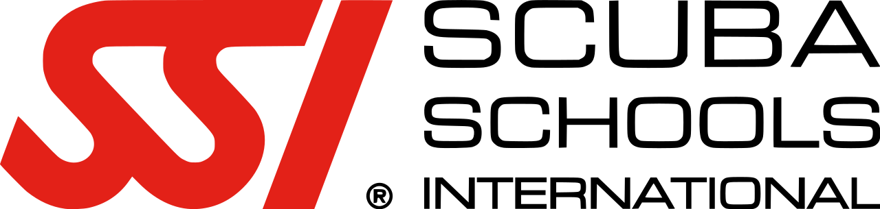SSI