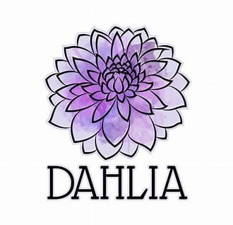 dalhia