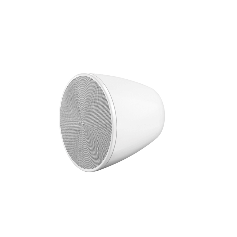 Ceiling speakers