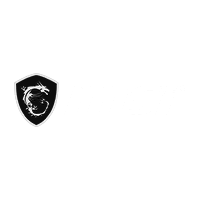 MSI