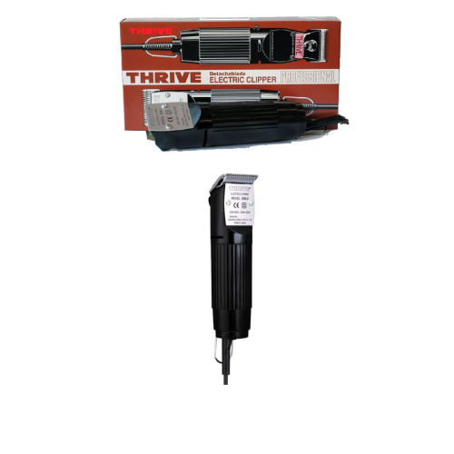 ecadbe7a-e494-4615-a7ad-