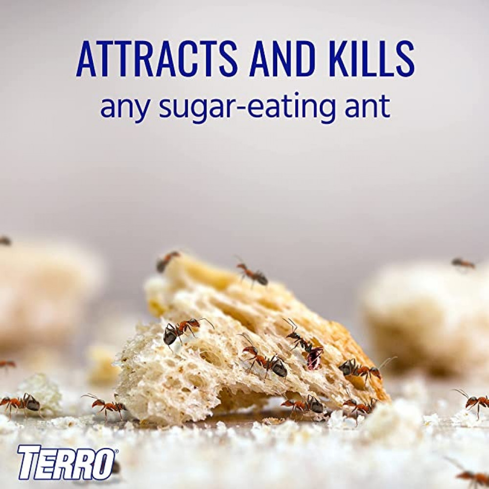 سائل مكافحة النمل تيرو TERRO بوراكس 2 أونصة مع بلاطات طعم