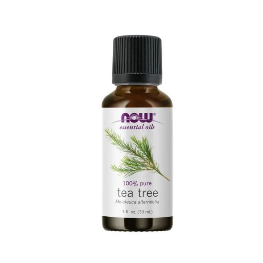 زيت عطري من ناو NOW بزيت شجرة الشاي مرطب ومجدد 30 مل