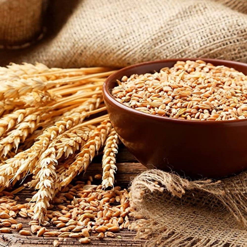 شامبو سميك وممتلئ من OGX بيوتين وكولاجين 385 مل