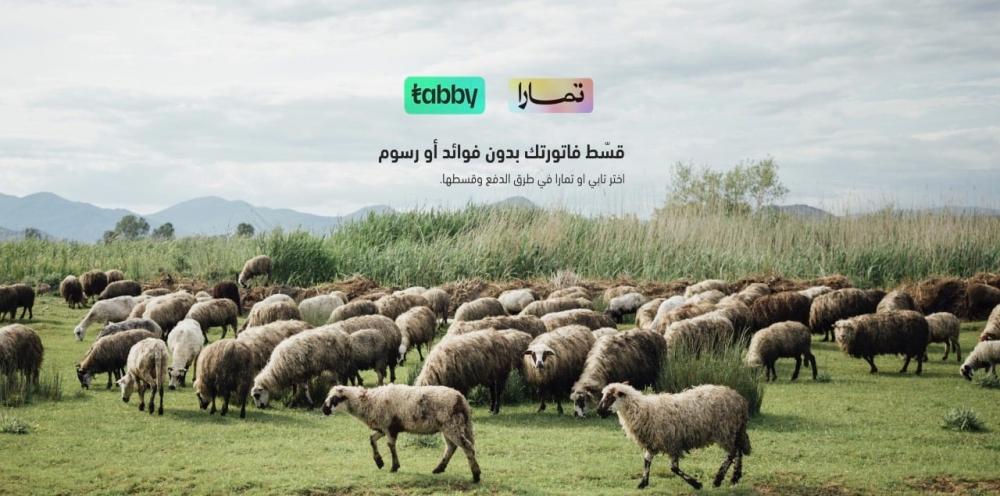 ذبائح بالتقسيط في جدة والمدينة المنورة ومكة والطائف وينبع