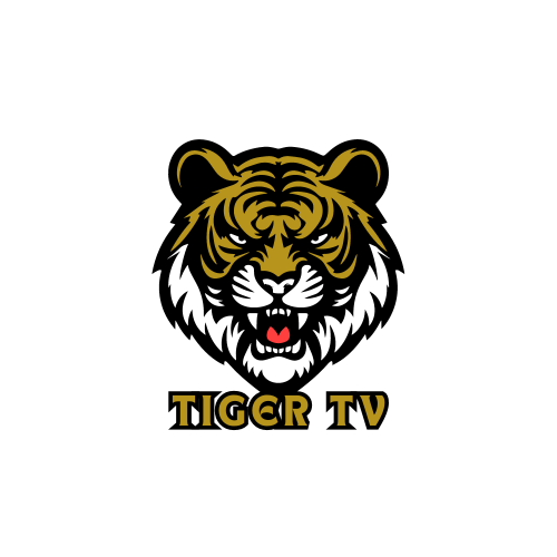 اشتراك تايجر Tiger TV سنة