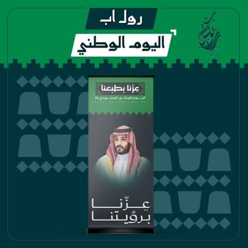 رول اب محمد بن سلمان
