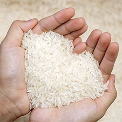 Rice