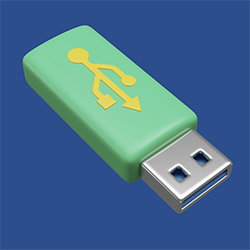 Flash Disk