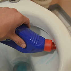 Toilet Cleaner
