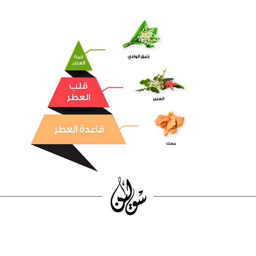 عطر سولين - 100 مل | Solin Perfume - 100 ml