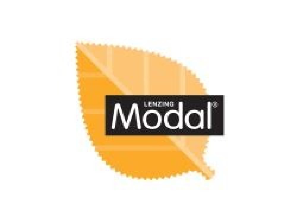 مودال modal