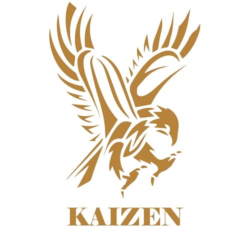 Kaizen