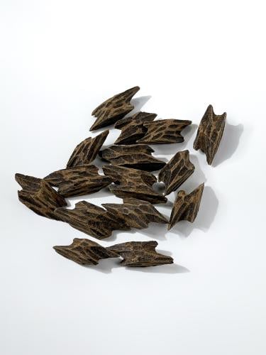 عود تايقر
