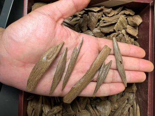 موروكي ميني