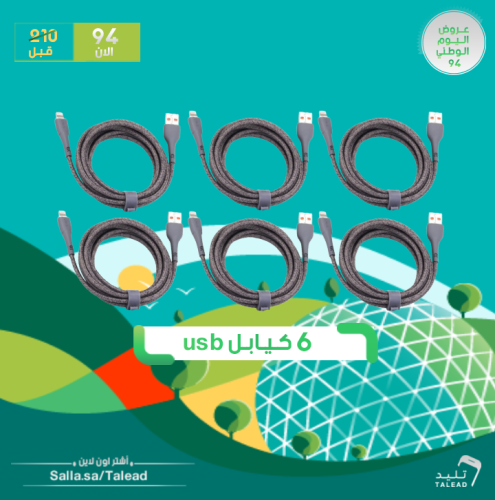 عروض اليوم الوطني 6 كيابل usb