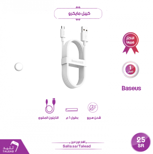 كيبل مايكرو من بيسوس