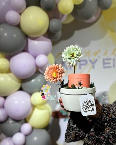 هدية العيد شوكلت أنوش