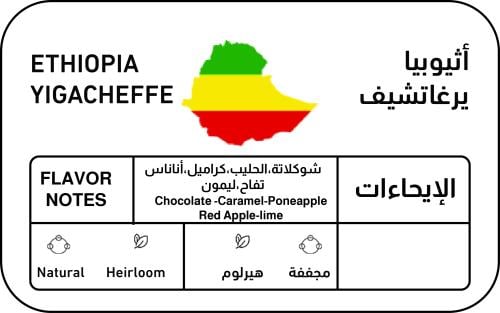 اثيوبيا يرغاتشيف