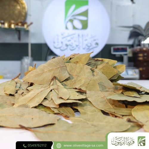 ورق غار