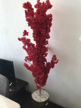 شجر ورد وسط