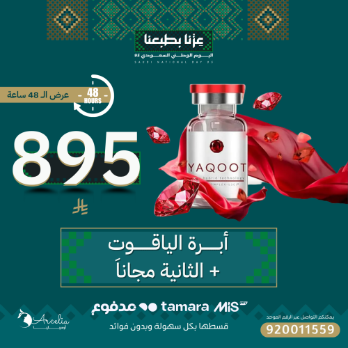 أبــــرة الياقوت + ابرة الثانية مجاناً