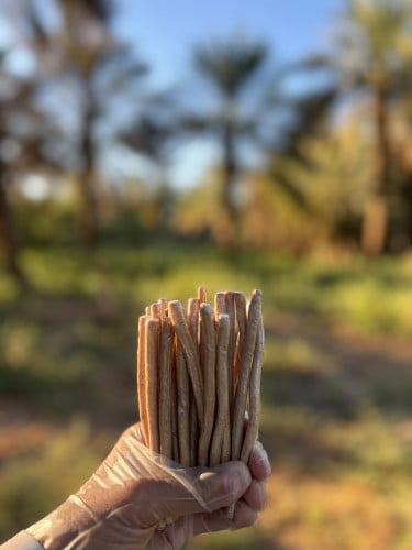 مسواك ابو حنش 10 اعواد