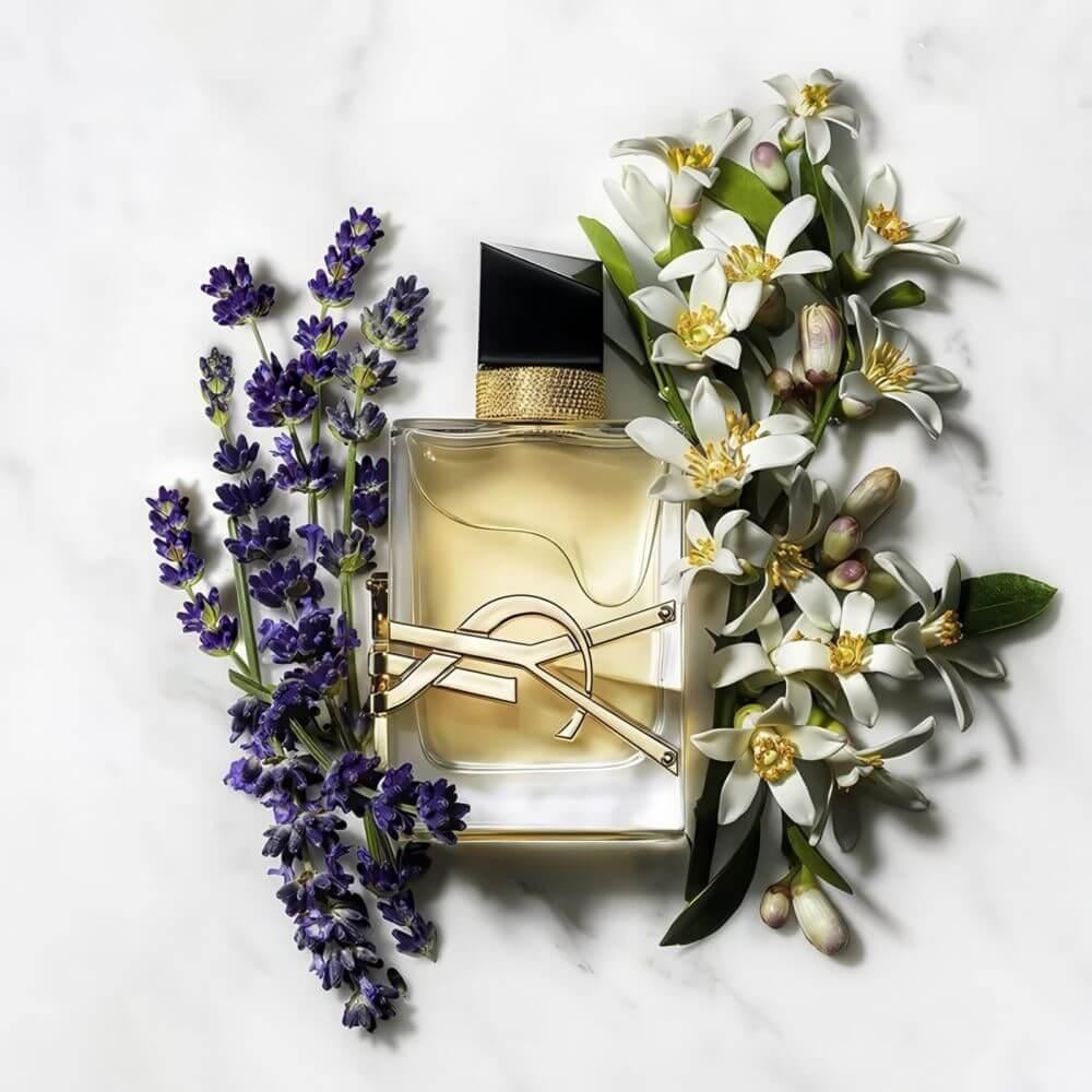 زجاجة عطر ليبر سان لوران 50 مل تصوير احترافي عطر نسائي