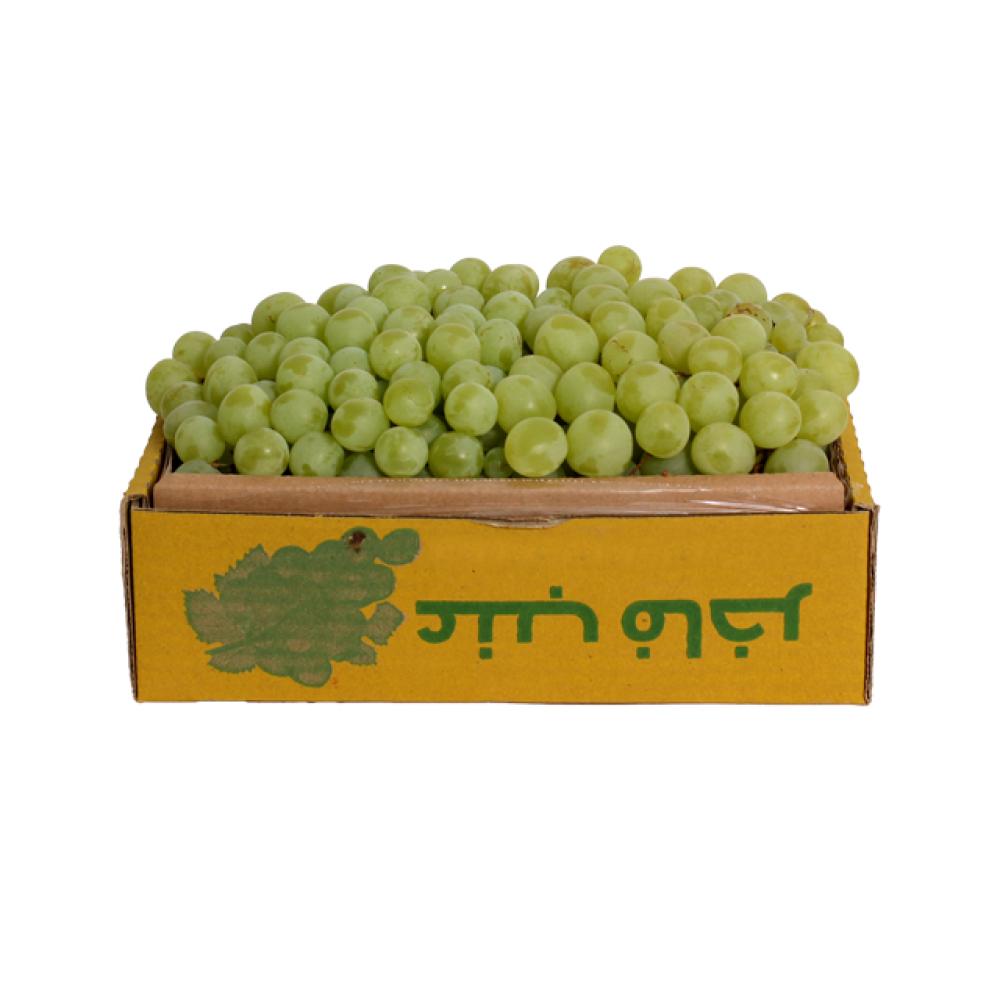عنب أخضر الطائف كرتون
