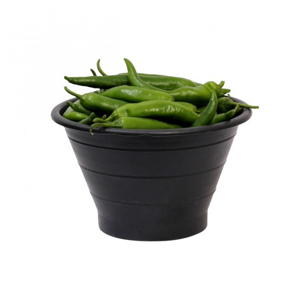 فلفل أخضر طويل