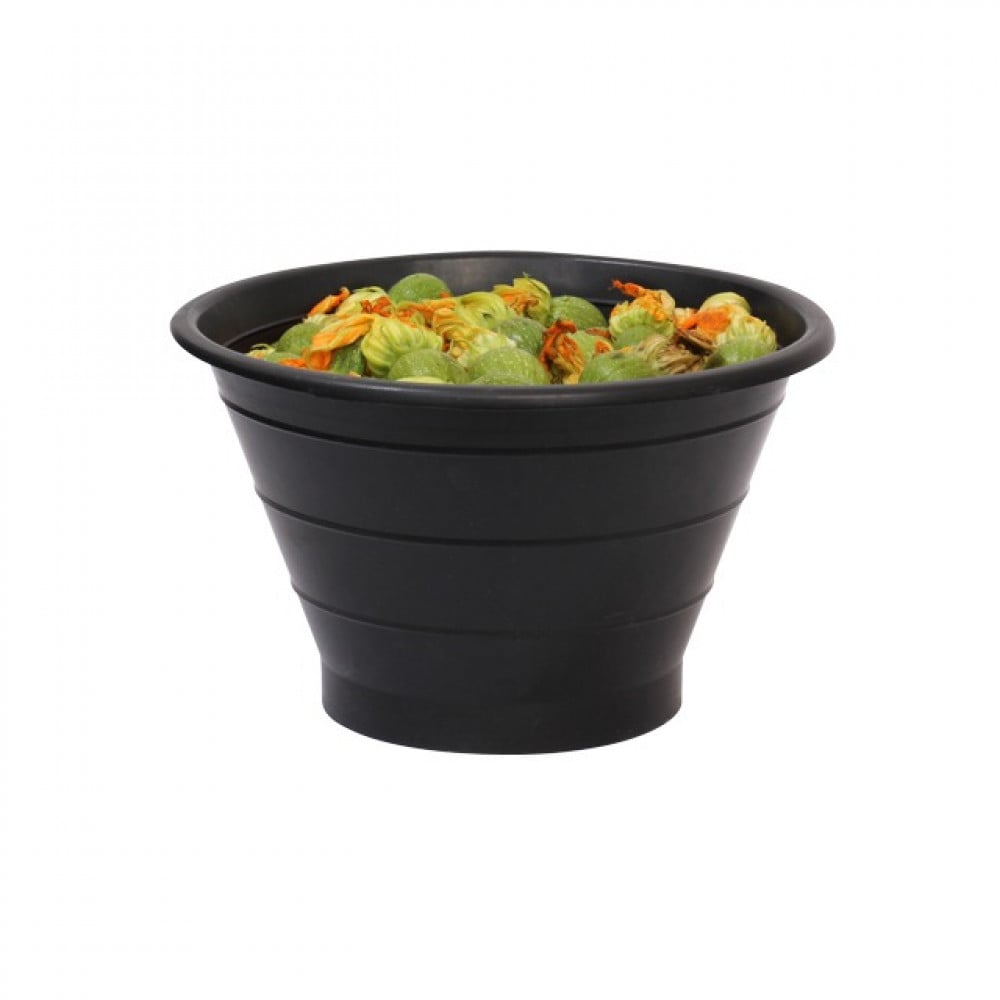 كوسه هدد مدور القصيم