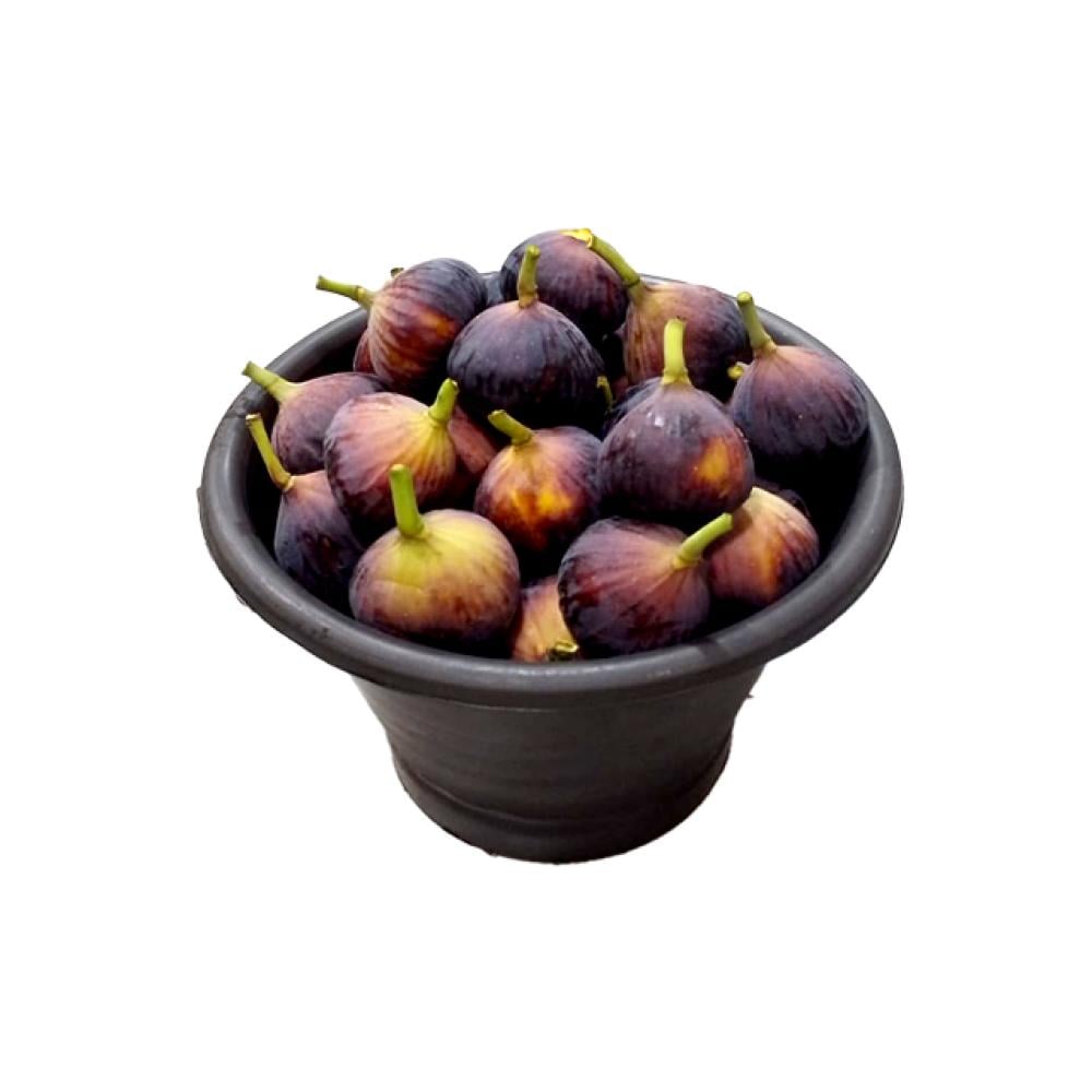 تين غنام أسود سطل