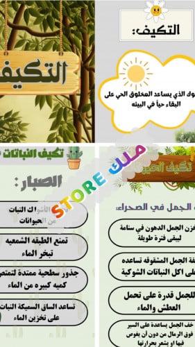 مطوية جاهزه للطباعة للصف الثالث لمادة العلوم