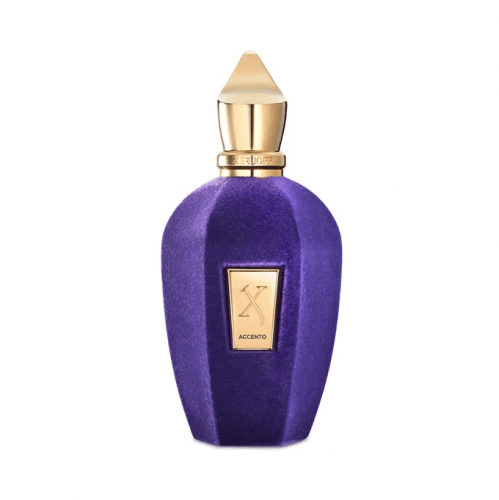 عطر اكسنتو من زيرجوف - او دي بارفيوم 100 مل
