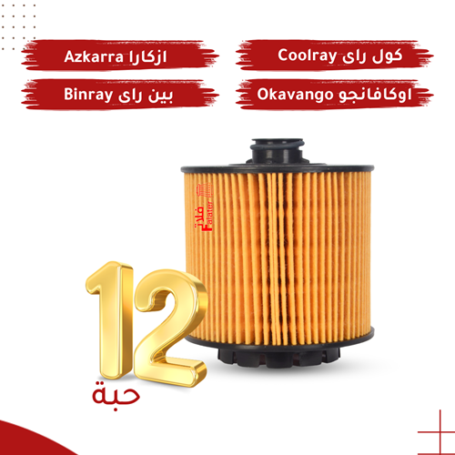 (عرض 12 حبة) فلتر زيت المحرك لسيارة جيلي بينراي وك...