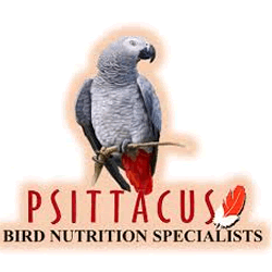 psittacus