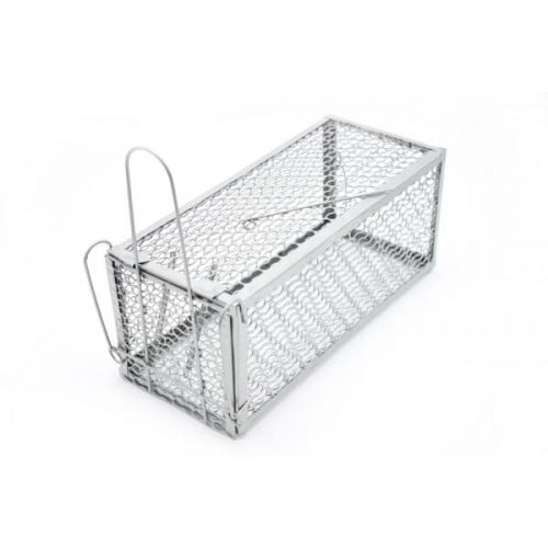 اطلال الصحراء