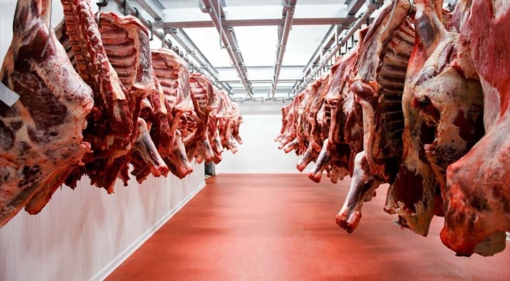 التيبس الرمي للحوم التيبس الرمي للحوم