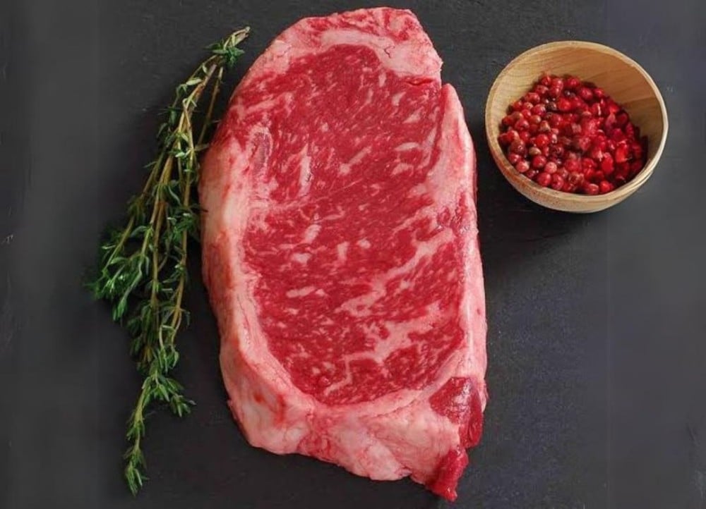 الفرق بين الانتركوت والريب اي